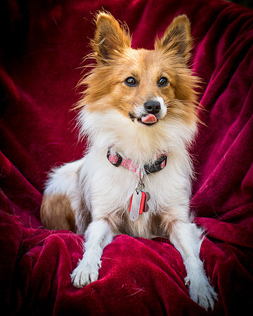Foster Brandi-3384