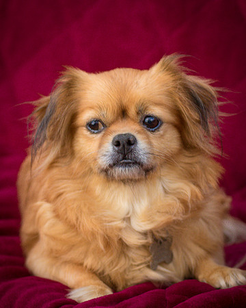 Foster Tia Maria-7953