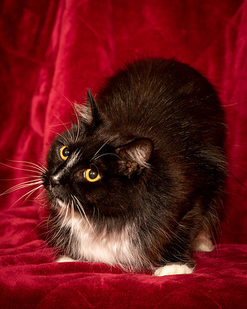 Foster Hershey-9479