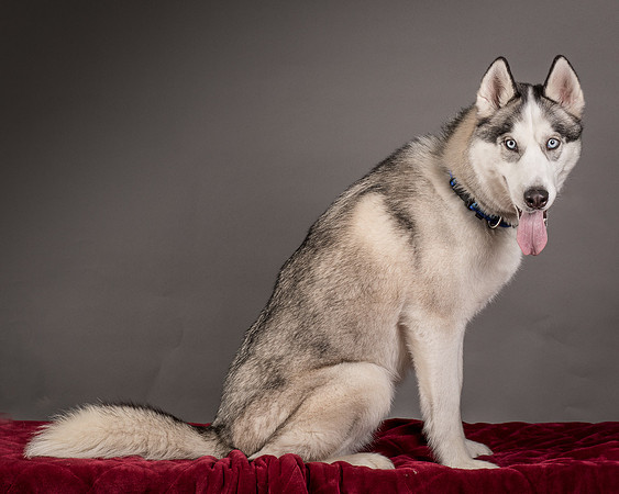 Foster Aspen-7676