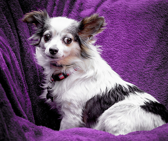 Foster Anouk-8759