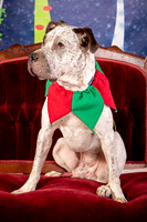 Foster Sylvester-0950
