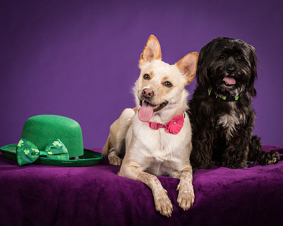 Henry and Maggie-1247