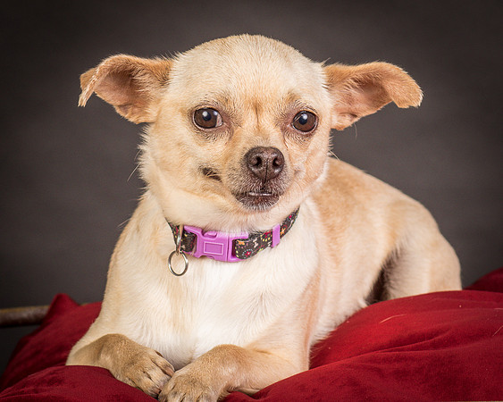 Foster Brielle-0057