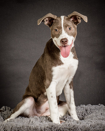 Foster Ari-8544