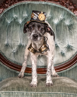 Foster Billie-8145