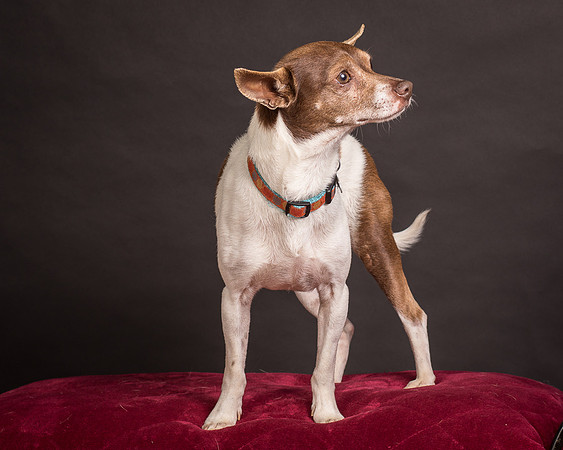 Foster Gus-0346