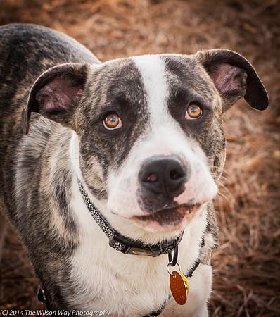 Foster Louie-9711