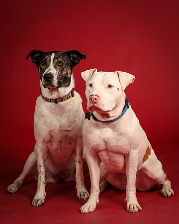 Grace and Mello-5451