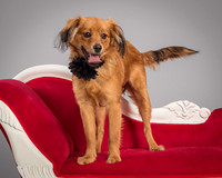 Foster Elyse-3782