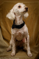 Foster Loretta-0184