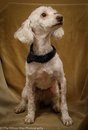 Foster Loretta-0184