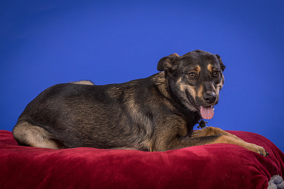 Golden-Tuco-0507