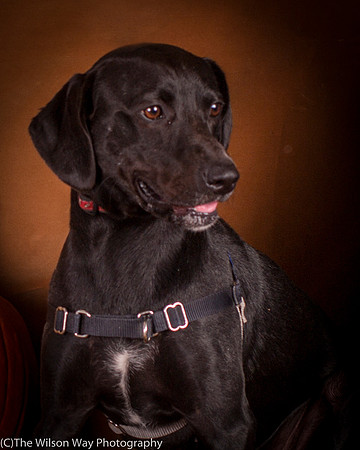 Foster Charles-5175