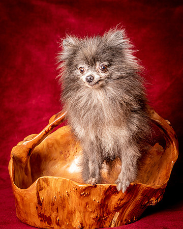 Foster Loretta-1343