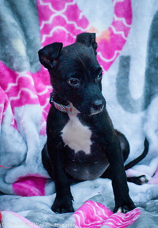 Foster Beryl-3773