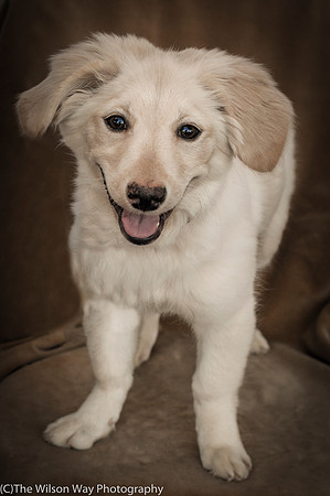 Foster Stephanie-9586