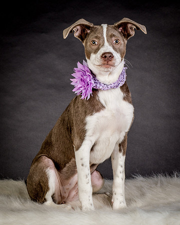Foster Ari-8615