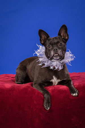 Slattery-Bella-0006
