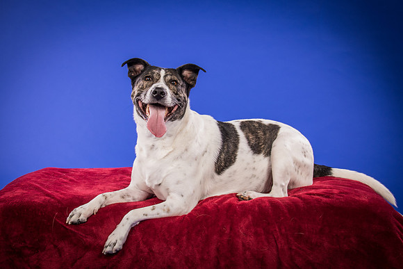 Bruns-Melo and Gracie-3042