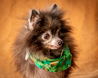 Foster Loretta-1246