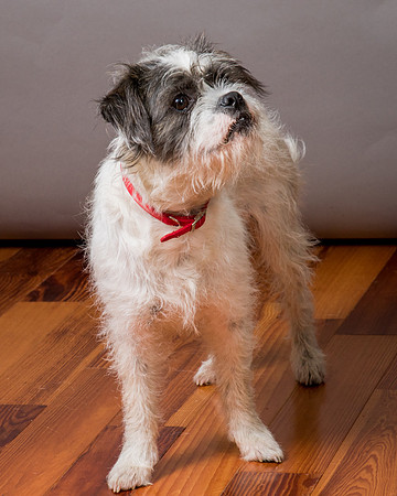 Foster Leeza-2851