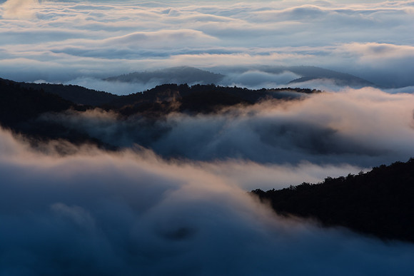 fog on ble ridge pkwy-4421