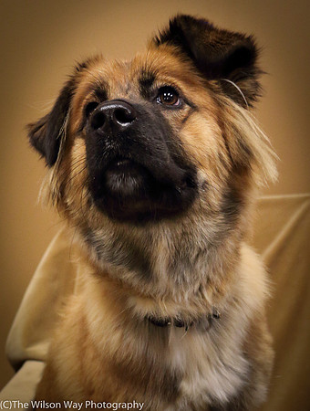 Foster Blair-0657