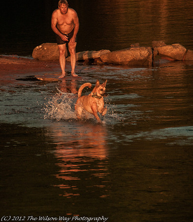 Roxy dashing through the water-1014