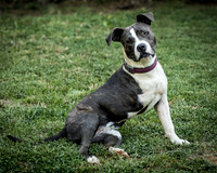 Foster Maya-0212