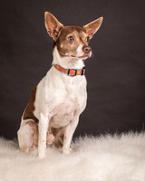 Foster Gus-0296
