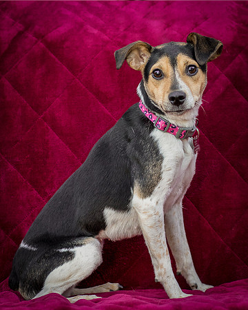 Foster Buffy-5495