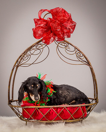 Foster Bernice-3743