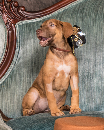 Foster Bronwyn-8333