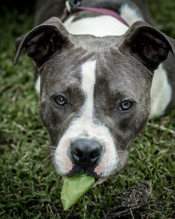 Foster Maya-0285