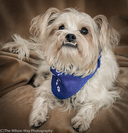 Foster Ricky-9057