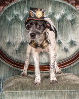 Foster Billie-8144