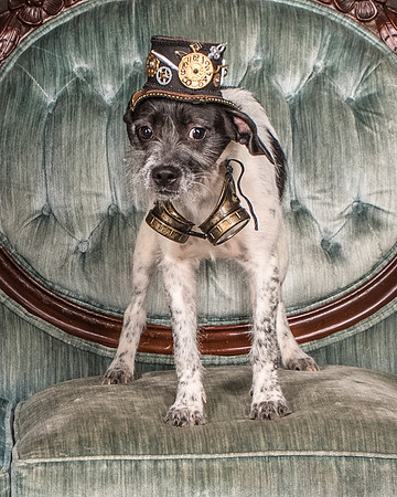Foster Billie-8144