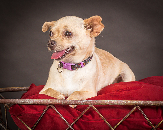 Foster Brielle-0039