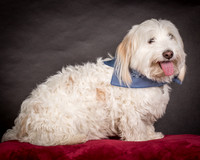 Foster Frosty-0554