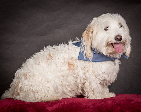 Foster Frosty-0554