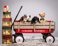 Foster Hospice Gang-3801