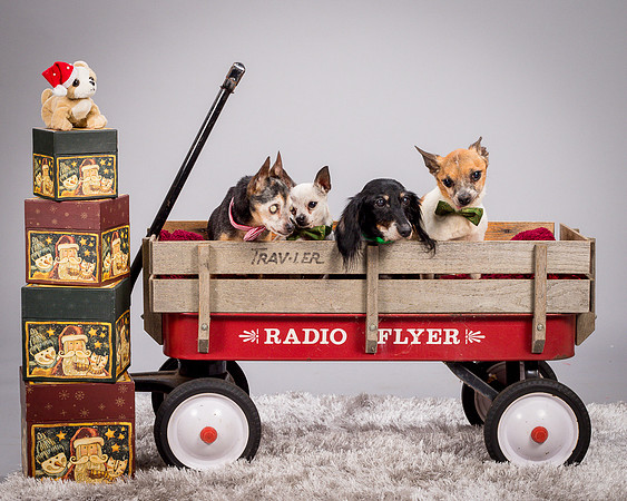 Foster Hospice Gang-3801
