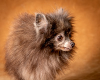 Foster Loretta-1268