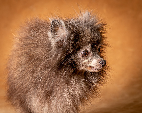 Foster Loretta-1268
