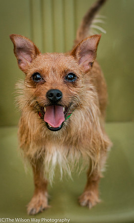 Foster Harry-3626