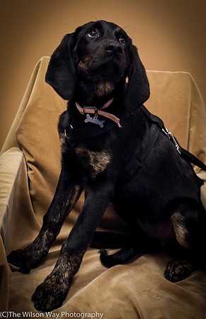 Foster Clementine-1269