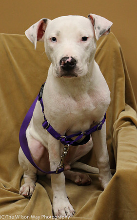 Foster Curt-0580