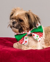 Foster Toffee-4622
