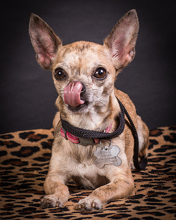 Foster Selina-1226
